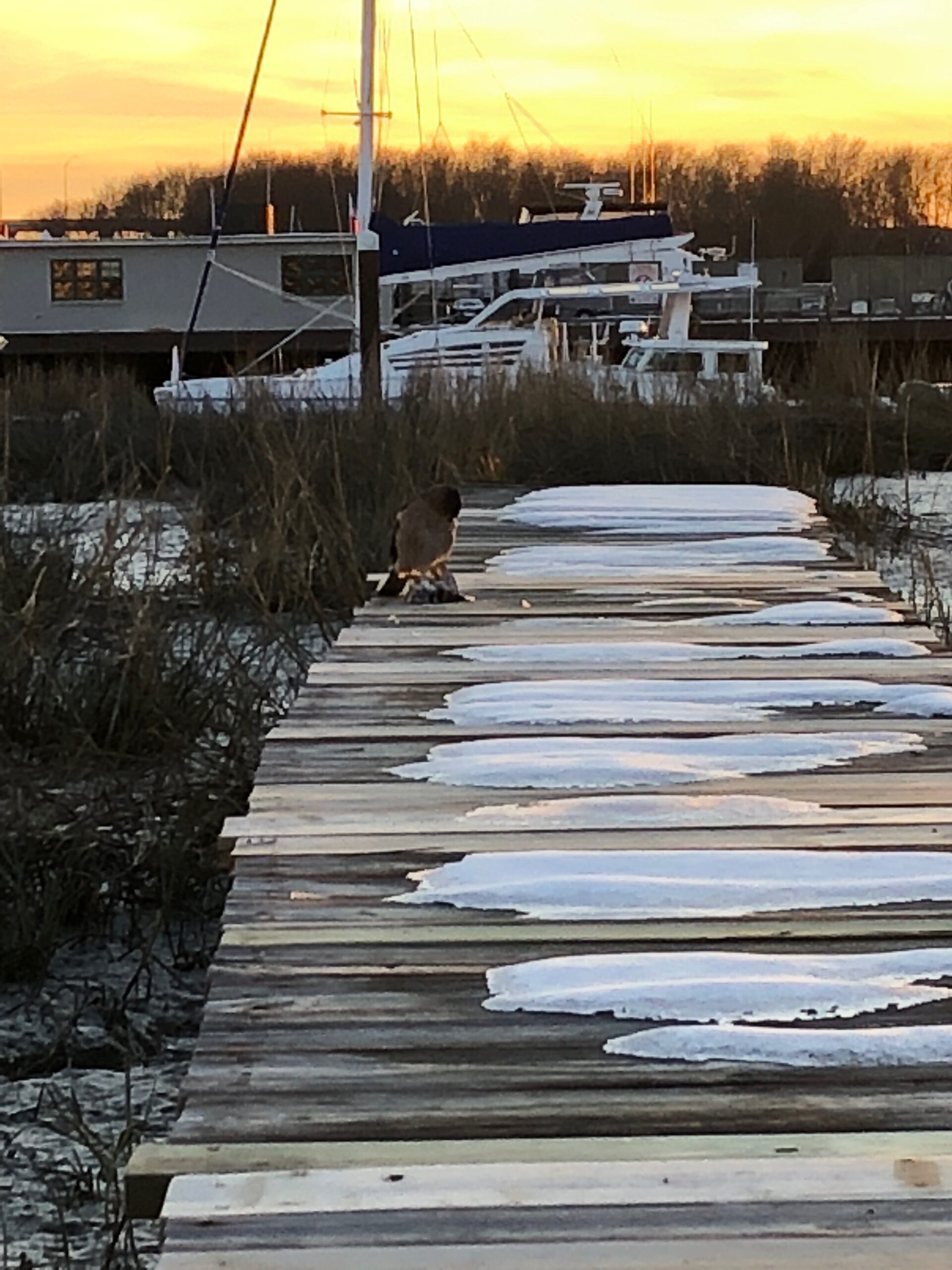 Snowy dock with boats